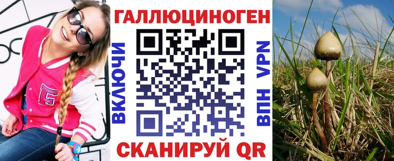 Галлюциногенные грибы мицелий  как найти наркотики  Рудня 